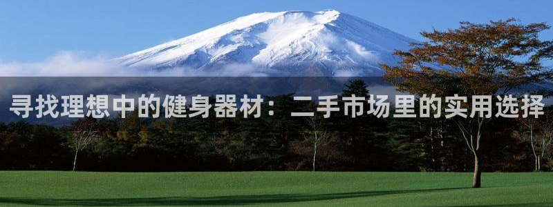 龙8国际long8