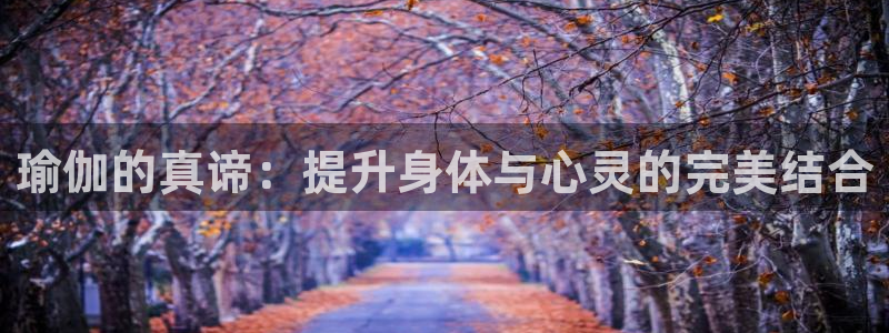 龙8国际现金