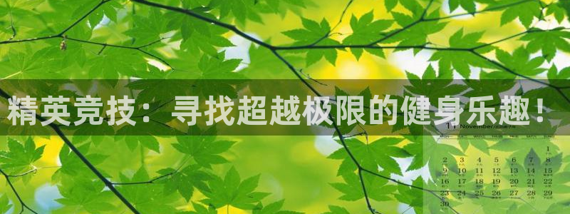 龙8国际app客户端下载不了