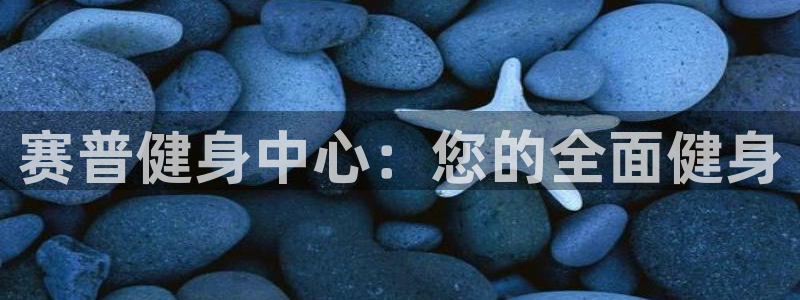 龙8国际总代理