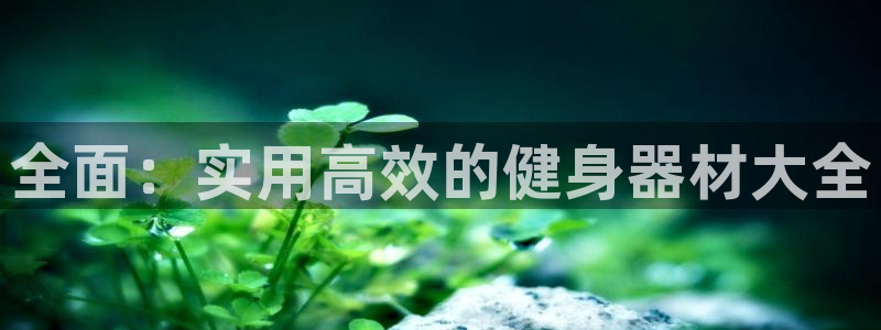 龙8国际老虎机官网