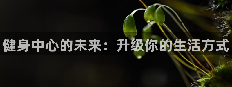 龙8国际pt官方网址