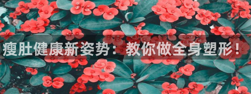 龙8国际long8龙8游戏