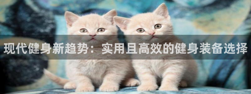 龙8国际网页登陆
