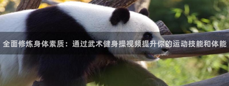 龙8娱乐国际城