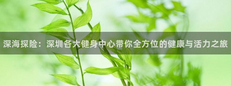 龙8官网游戏