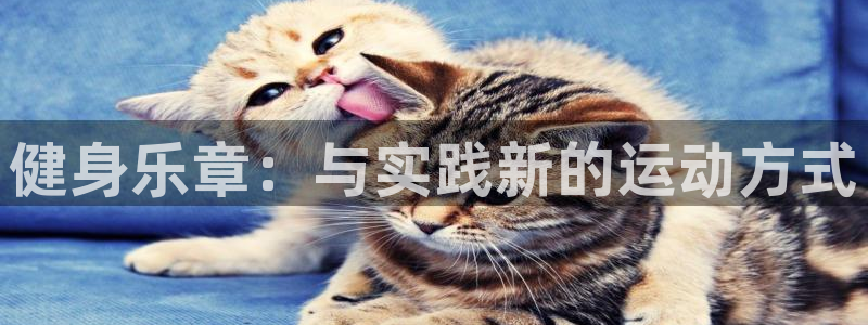 龙八国际app客户端下载