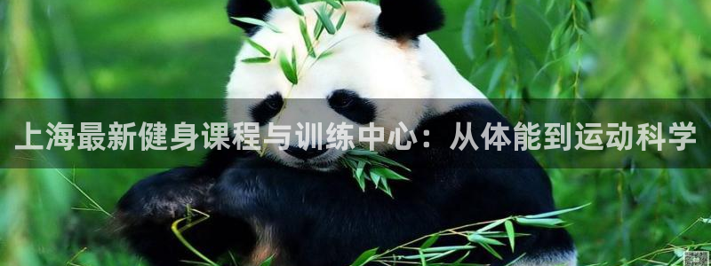 龙8国际官网