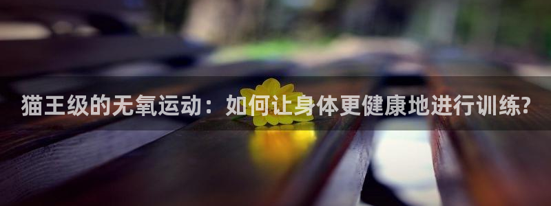 国际龙8hk