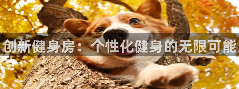龙8国际官方网址下载