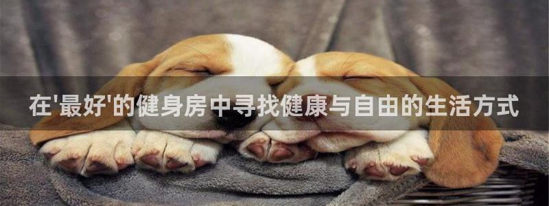 龙8国际唯一