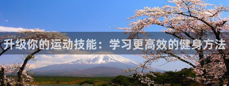 龙八国际娱乐网页多少