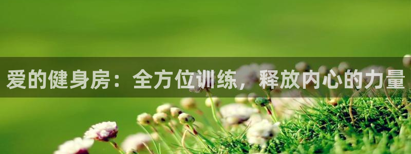 龙8国际.apk