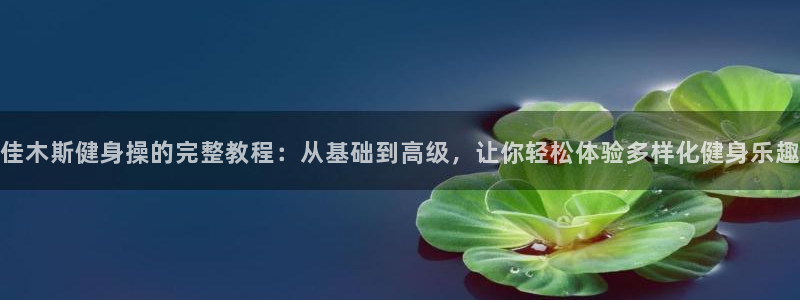 龙8国际会员注册