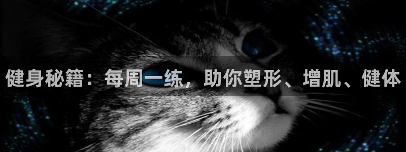 国际龙8唯一登陆