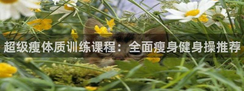 龙8国际在线登录