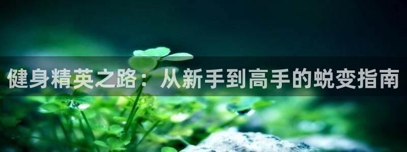龙8老虎机网络游戏