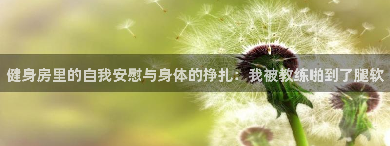 龙8国际-我的