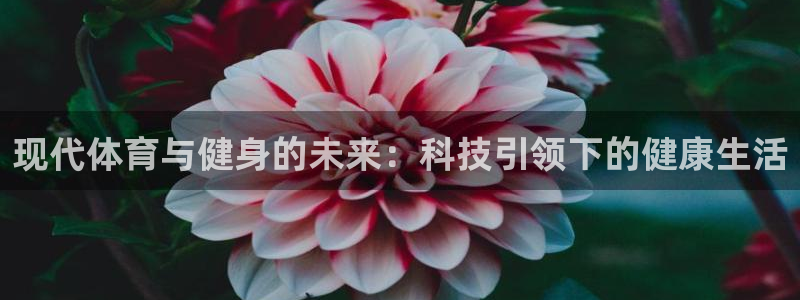龙8国际为啥改名叫头号玩家了
