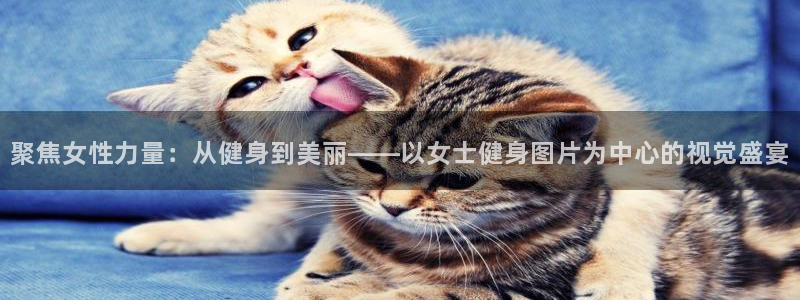 国际龙8官网pt客户端下载
