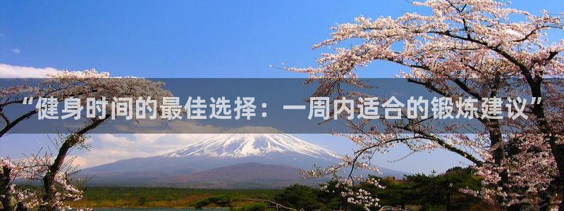 龙8国际pt官网