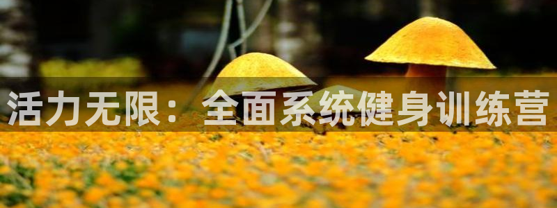 龙八国际app客户端下载