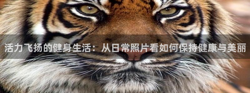 龙8国际害死多少人