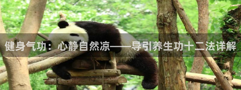 龙8国际平台输了多少