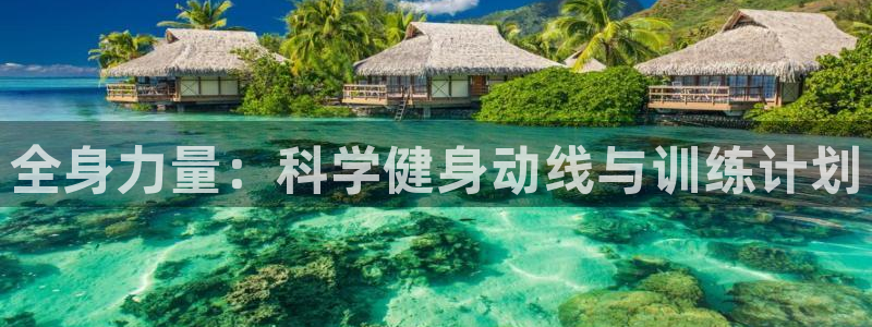 龙8国际手机游戏官网版