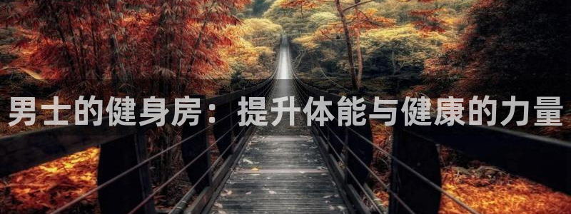龙8官网正版
