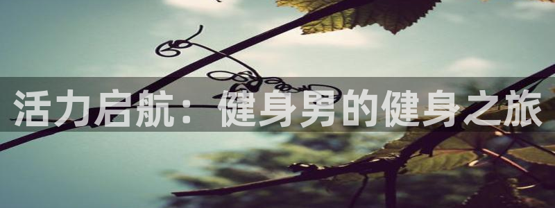 龙8国际试玩