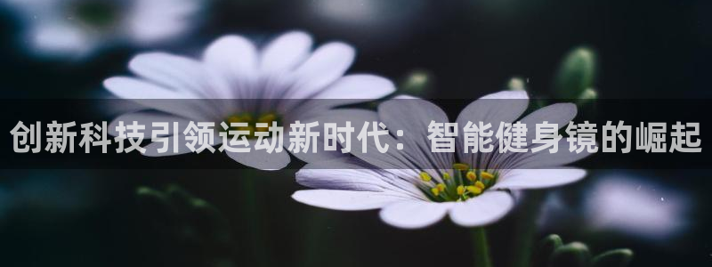 龙8国际正规吗