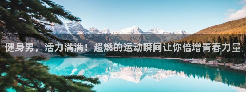 龙8国际是真的吗