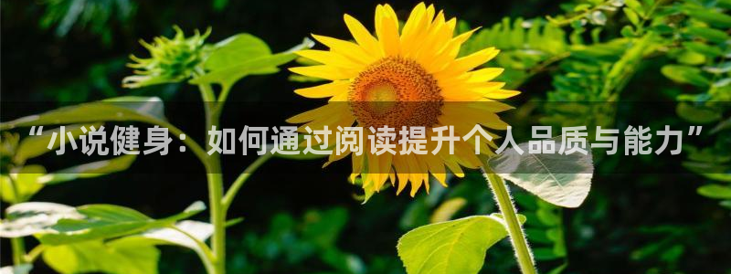 龙8官网正版