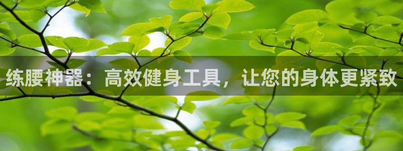 龙8娱乐国际城