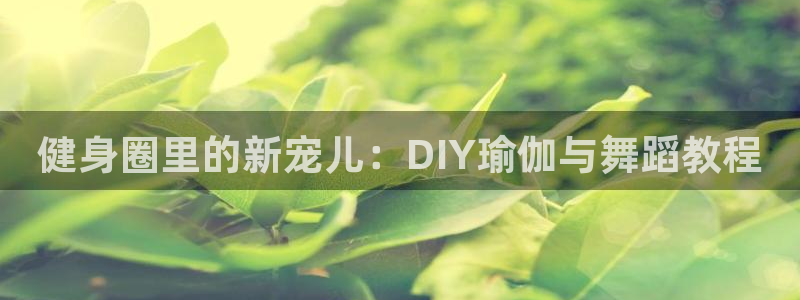 龙8官网正版