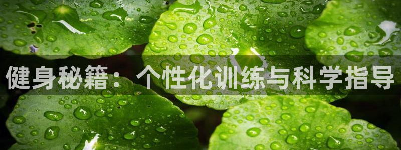 龙8国际平台提款被黑