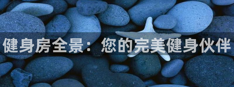 龙8官网正版