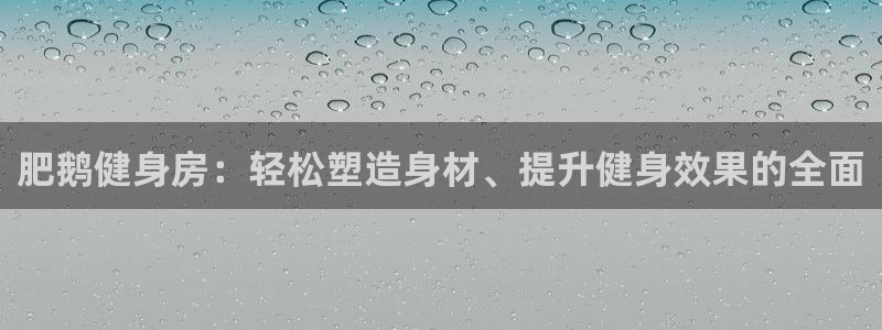 龙8国际pt