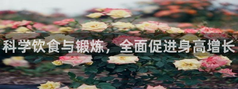 龙8棋牌官网