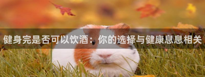 龙 八国际