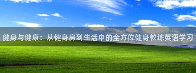 国际龙8hk