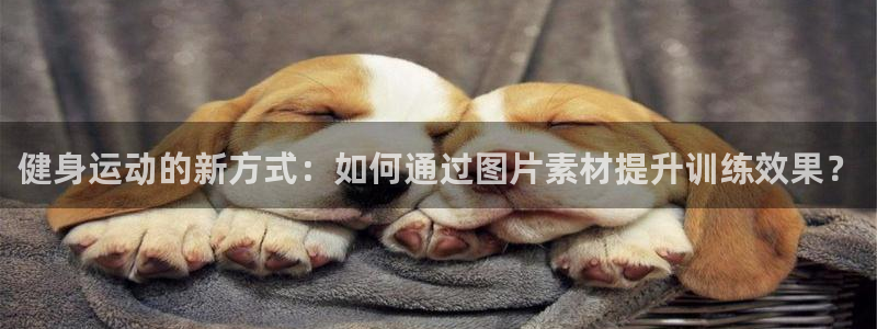 龙8国际线上