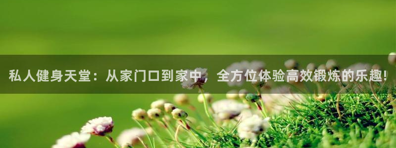 龙8国际long8