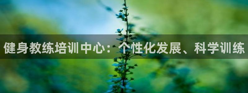 龙8国际官方手机版登录