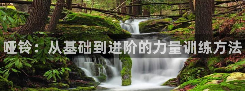 龙8国际唯一登录地址