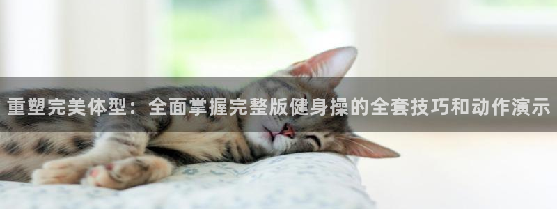 国际龙8唯一登陆