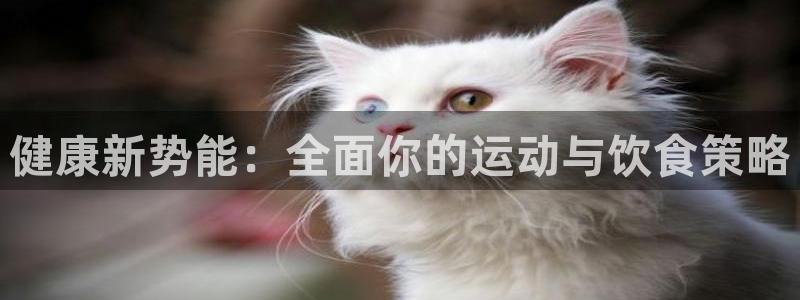 龙8国际会员注册