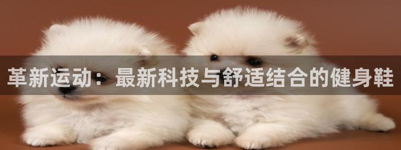 龙八国际娱乐在线游戏