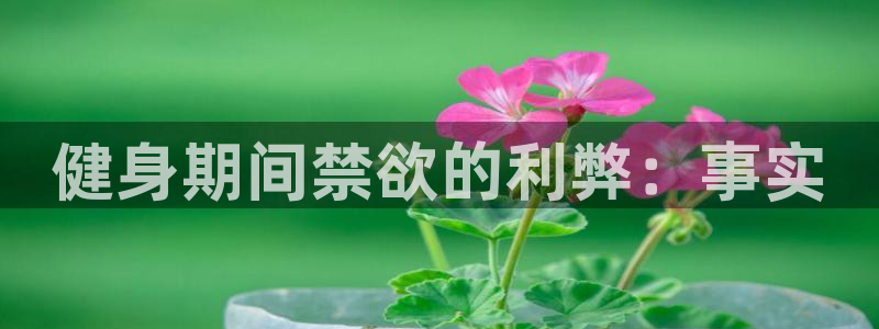 龙8国际2023官方版fxzls安卓-1.2.9 -安卓